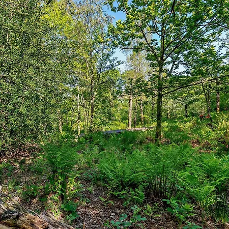 Hotel 3 Bed In Newlands Valley Sz508 Braithwaite